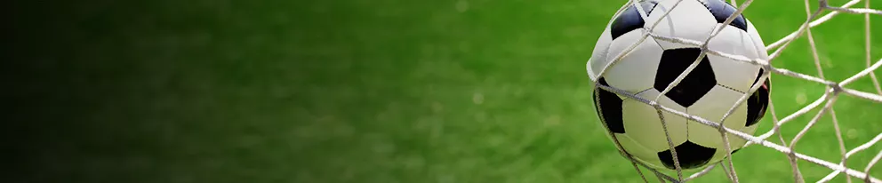 foto de la categoria